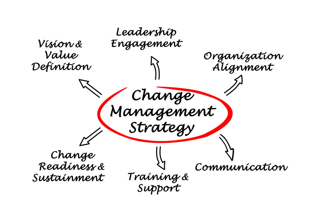 Change Management Strategy Southampton Hampshire